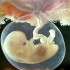 stem-cell-research