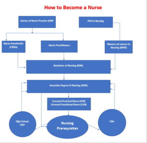 How to Become a Nurse