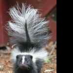 Profile picture of BettyWoolfolk