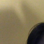 Profile picture of Marissa Sapico